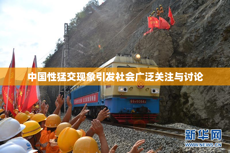 中国性猛交现象引发社会广泛关注与讨论