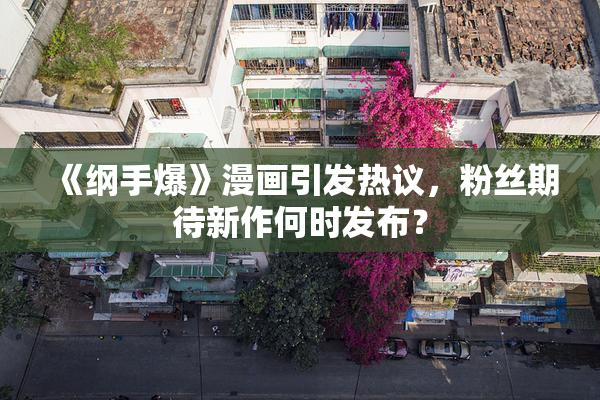 《纲手爆》漫画引发热议，粉丝期待新作何时发布？