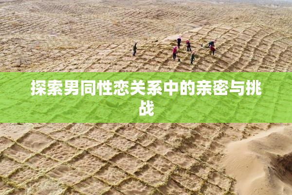 探索男同性恋关系中的亲密与挑战