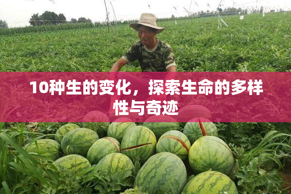 10种生的变化，探索生命的多样性与奇迹