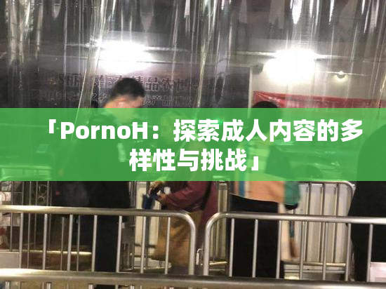 「PornoH：探索成人内容的多样性与挑战」