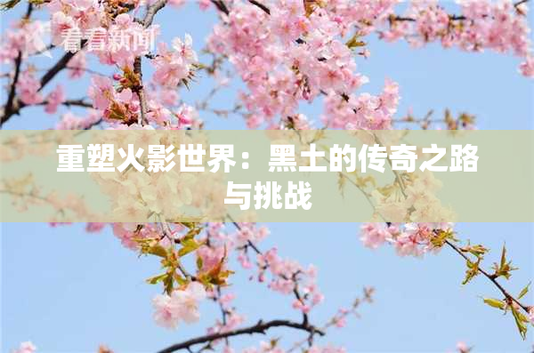重塑火影世界：黑土的传奇之路与挑战