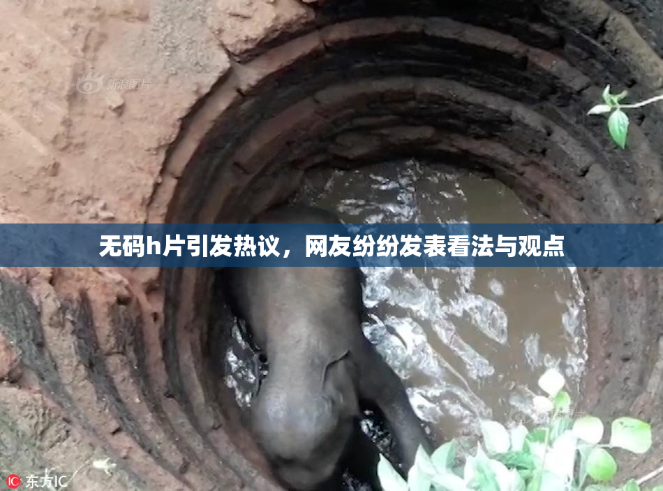 无码h片引发热议，网友纷纷发表看法与观点