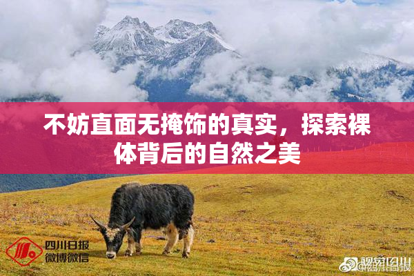 不妨直面无掩饰的真实，探索裸体背后的自然之美