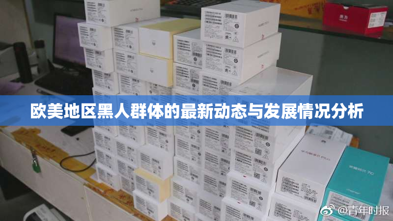 欧美地区黑人群体的最新动态与发展情况分析