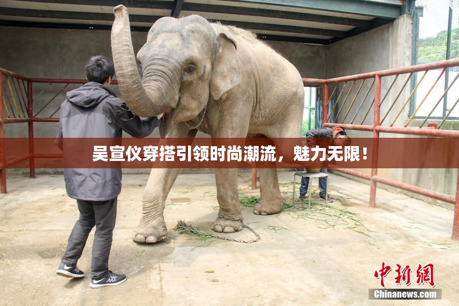 吴宣仪穿搭引领时尚潮流，魅力无限！
