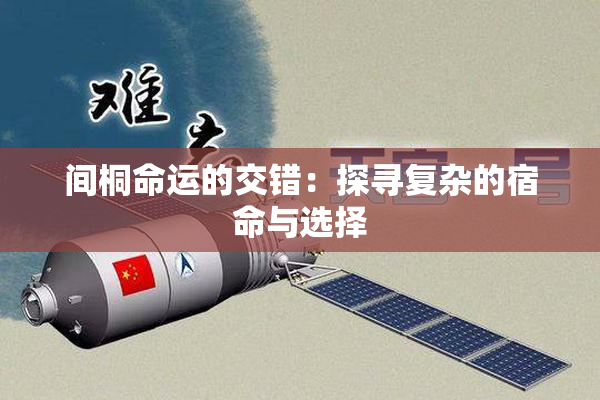 间桐命运的交错：探寻复杂的宿命与选择