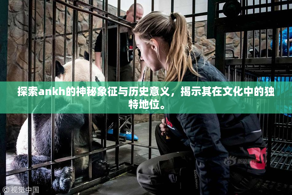 探索ankh的神秘象征与历史意义，揭示其在文化中的独特地位。