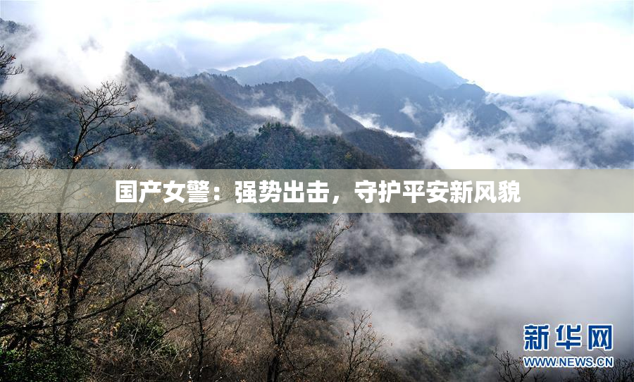 国产女警：强势出击，守护平安新风貌