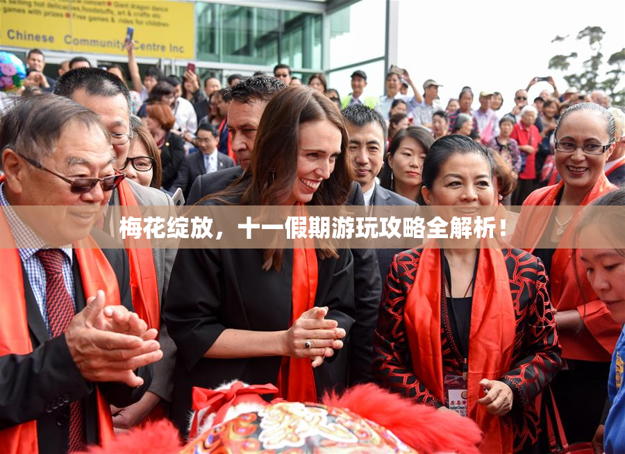 梅花绽放，十一假期游玩攻略全解析！