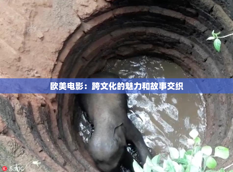 欧美电影：跨文化的魅力和故事交织