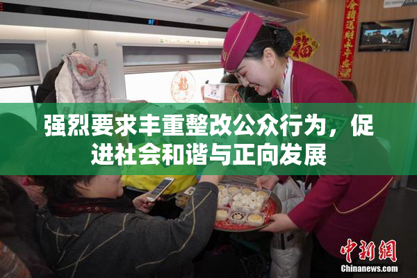 强烈要求丰重整改公众行为，促进社会和谐与正向发展