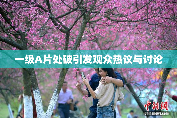 一级A片处破引发观众热议与讨论