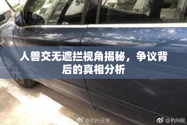 人兽交无遮拦视角揭秘，争议背后的真相分析