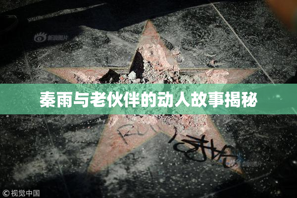 秦雨与老伙伴的动人故事揭秘
