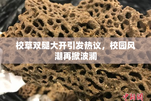 校草双腿大开引发热议，校园风潮再掀波澜