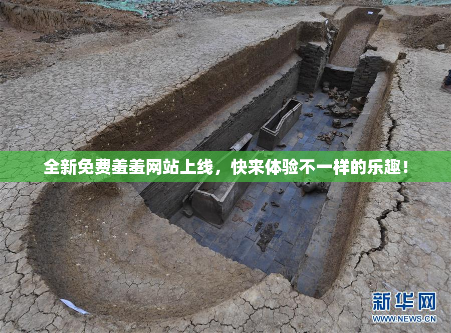 全新免费羞羞网站上线，快来体验不一样的乐趣！