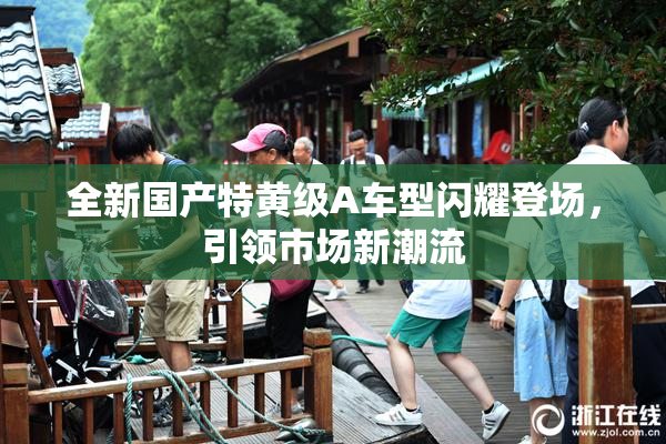 全新国产特黄级A车型闪耀登场，引领市场新潮流