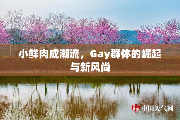 小鲜肉成潮流，Gay群体的崛起与新风尚