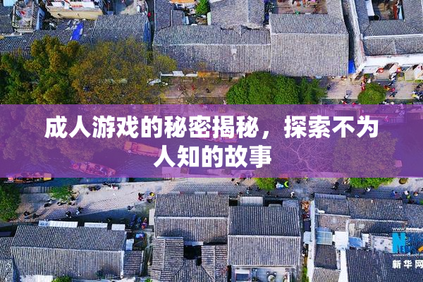 成人游戏的秘密揭秘，探索不为人知的故事