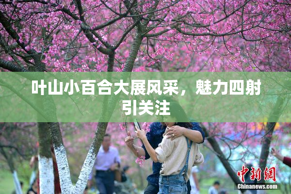 叶山小百合大展风采，魅力四射引关注