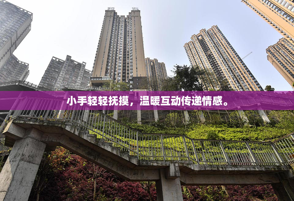 小手轻轻抚摸，温暖互动传递情感。