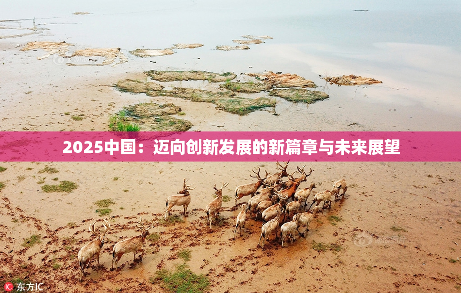 2025中国：迈向创新发展的新篇章与未来展望
