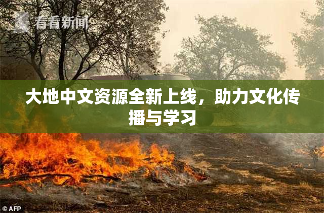 大地中文资源全新上线，助力文化传播与学习