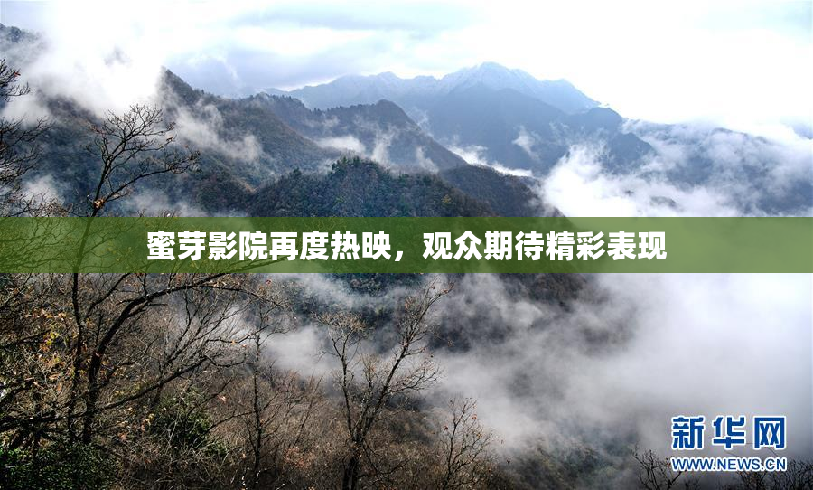 蜜芽影院再度热映，观众期待精彩表现