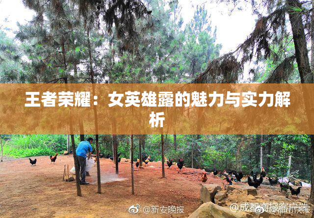 王者荣耀：女英雄露的魅力与实力解析