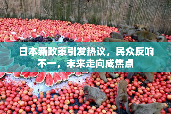 日本新政策引发热议，民众反响不一，未来走向成焦点