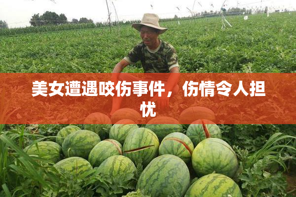 美女遭遇咬伤事件，伤情令人担忧