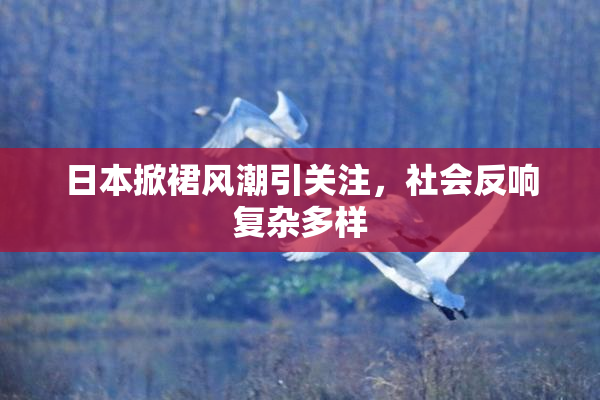 日本掀裙风潮引关注，社会反响复杂多样