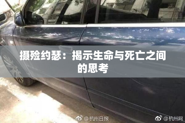 摄殓约瑟：揭示生命与死亡之间的思考