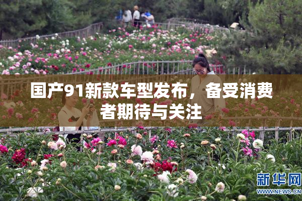 国产91新款车型发布，备受消费者期待与关注