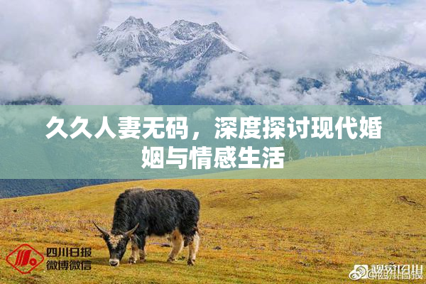 久久人妻无码，深度探讨现代婚姻与情感生活