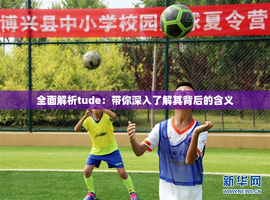 全面解析tude：带你深入了解其背后的含义