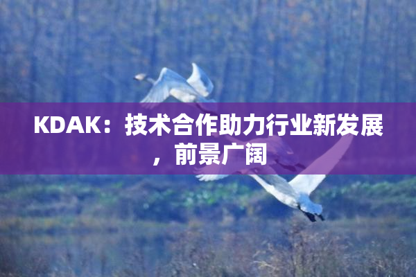 KDAK：技术合作助力行业新发展，前景广阔