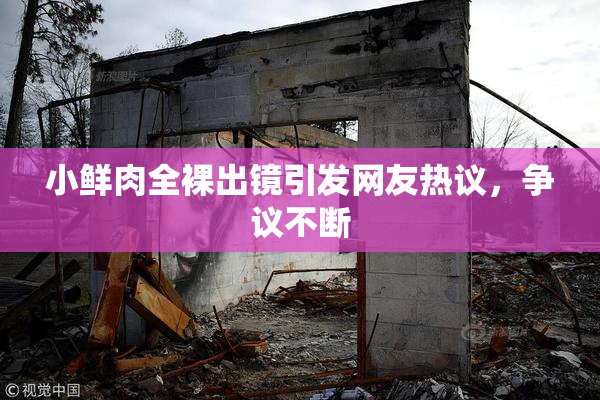 小鲜肉全裸出镜引发网友热议，争议不断