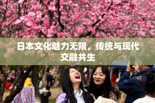 日本文化魅力无限，传统与现代交融共生