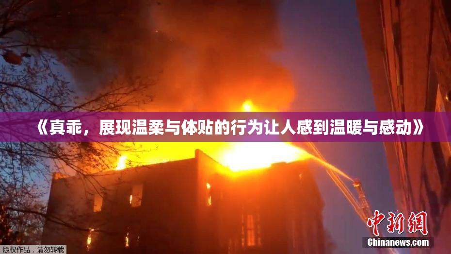 《真乖，展现温柔与体贴的行为让人感到温暖与感动》