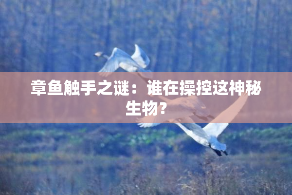 章鱼触手之谜：谁在操控这神秘生物？