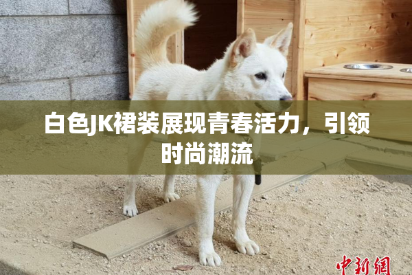 白色JK裙装展现青春活力，引领时尚潮流