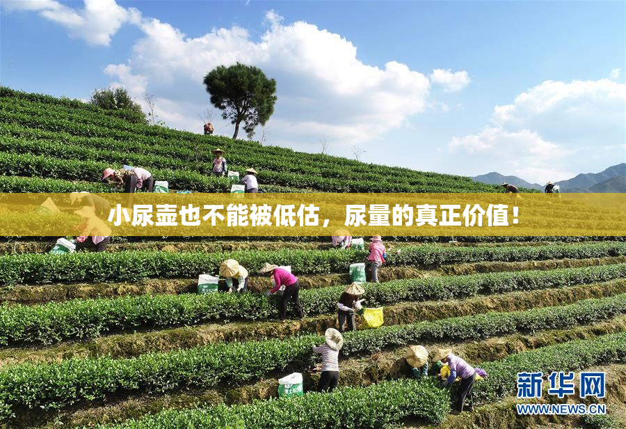 小尿壶也不能被低估，尿量的真正价值！