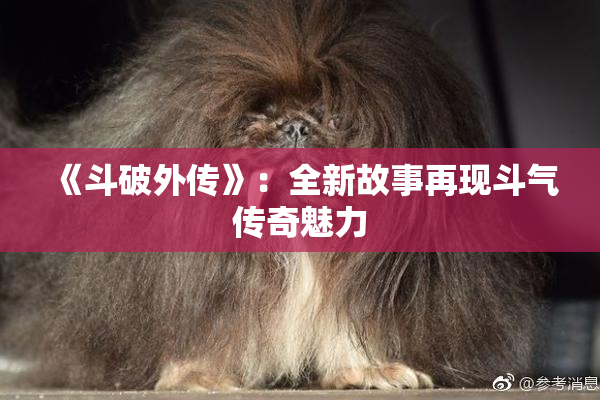 《斗破外传》：全新故事再现斗气传奇魅力