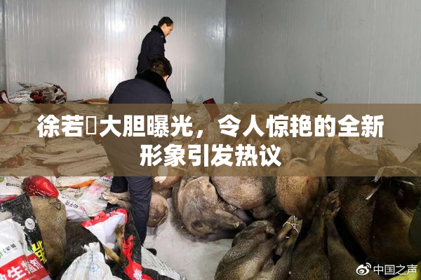 徐若瑄大胆曝光，令人惊艳的全新形象引发热议