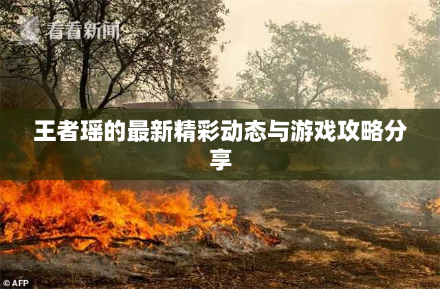 王者瑶的最新精彩动态与游戏攻略分享