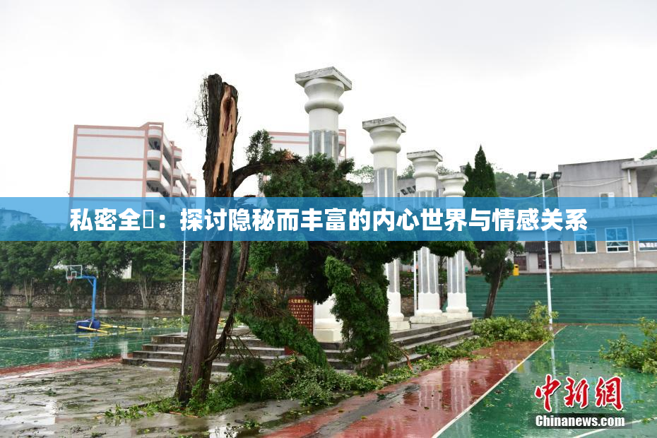 私密全婐：探讨隐秘而丰富的内心世界与情感关系