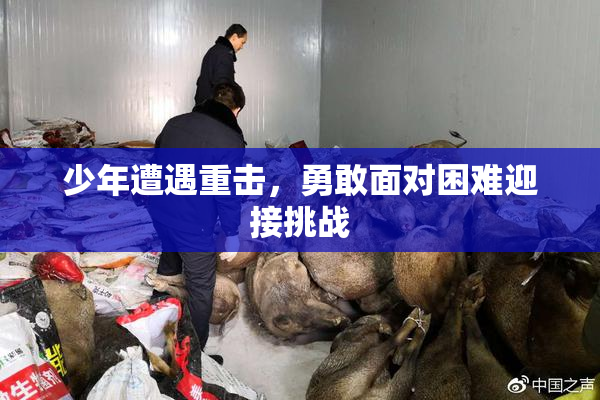 少年遭遇重击，勇敢面对困难迎接挑战