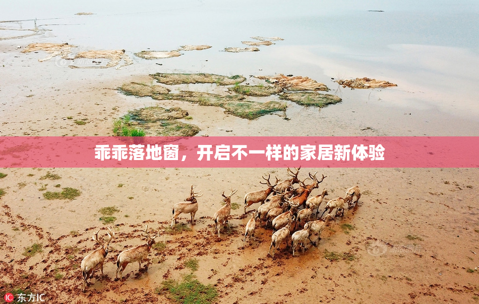 乖乖落地窗，开启不一样的家居新体验